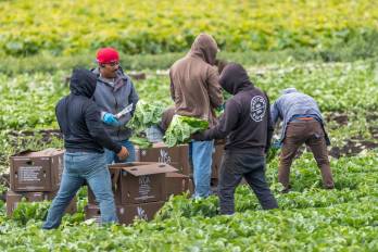 Informes internacionales advierten que los actuales modelos de producción y consumo de alimentos profundizan la desigualdad y agravan la crisis climática.