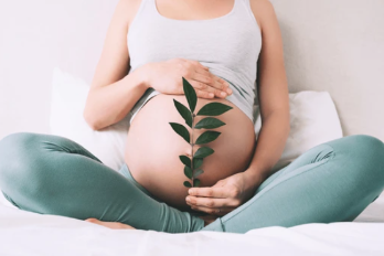 Durante los nueve meses de gestación, es importante realizar los cuidados debidos para garantizar la mejor calidad de vida para ti y tu bebé.