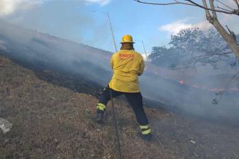 Los camisas rojas registraron un total de 112 reportes de incendios de masa vegetal.