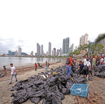 El plástico, principal agresor de los ecosistemas marinos.