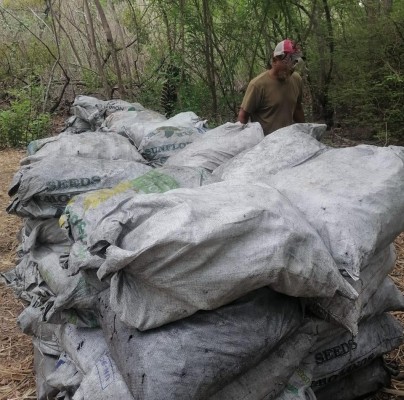 Varios sacos de carbón vegetal decomisado en la Área Protegida Manglares de la Bahía de Chame.