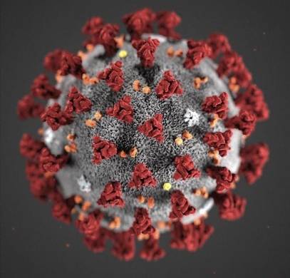 Primera imágenes del Coronavirus proporcionada por el Centro para el control y prevención de enfermedades.