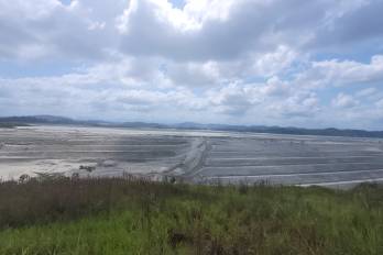 Cuando la evidencia habla