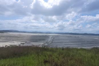 Extractivismo y financiarización