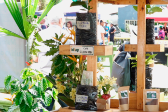 Los visitantes tuvieron la oportunidad de conocer de cerca sobre el cultivo de café.