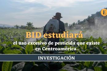 Centroamérica es la región que más utiliza pesticidas por hectáreas en el mundo
