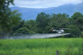 El Gobierno panameño fundamenta esta decisión en estadísticas de salud alarmantes, señalando que solo en 2020 se registraron 7,681 nuevos casos de cáncer en Panamá.