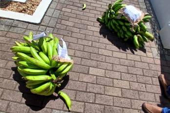 Agentes de la Policía Nacional retiraron los objetos del área.
