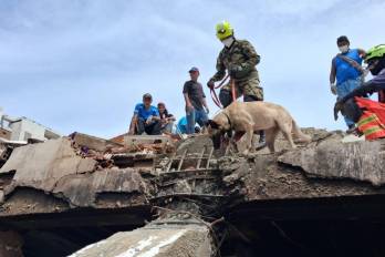 La salida del equipo panameño marca el cierre de su participación en la fase de búsqueda y rescate.