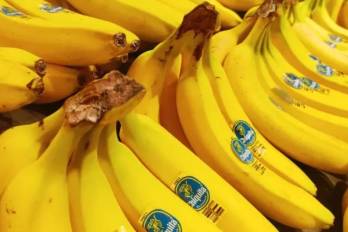 La recuperación de la actividad permitirá proteger más de 6.000 empleos vinculados al sector bananero.