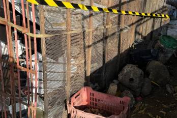 MiAmbiente decretó alerta ambiental y paralizaron actividades en la cuenca del río Abajo.