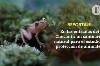 En las entrañas del Chucantí