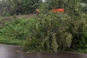 Sinaproc indicó que el reporte es preliminar y que los equipos de emergencia continúan realizando inspecciones en distintos puntos de la provincia.