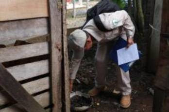 La mayor cantidad de casos se concentra entre personas de 25 a 49 años.