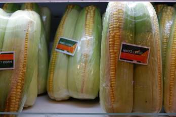 Creando un nuevo futuro alimentario