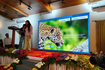 Especialistas panameños exponen en India su experiencia en rescate y monitoreo de grandes felinos.
