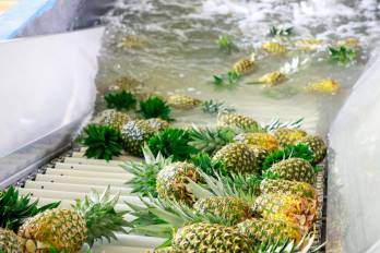 Este resultado marca el nivel más alto de exportaciones para los primeros once meses del año entre 2010 y 2025.