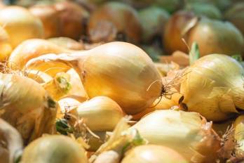 Gobierno busca estabilizar los precios del bulbo.