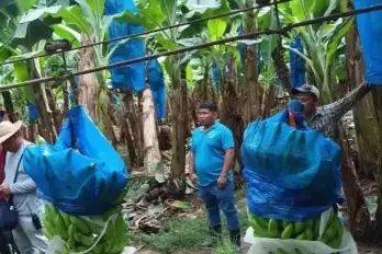 Mulino indicó que hay más de 20 puntos cerrados en la provincia de Bocas del Toro.