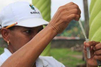 Del total de contagios, 421 son sin signos de alarma, 53 presentan signos de alarma y se ha confirmado un caso grave.