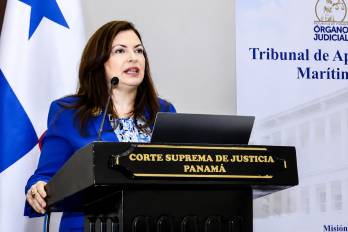 Chen explicó que cada sentencia surge del estudio de las controversias constitucionales planteadas ante el tribunal y no de presiones externas o de la opinión pública.