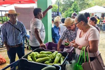 Estas ferias permiten a la población comprar comida económica en Panamá, con productos de primera necesidad a precios accesibles.