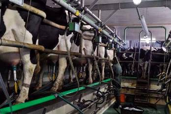 A diciembre de 2023, la producción de leche grado A ascendió a 86.7 millones de litros.