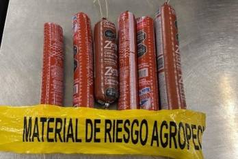Inspecciones del MIDA permitieron decomisar productos agropecuarios no autorizados en puntos de ingreso al país.