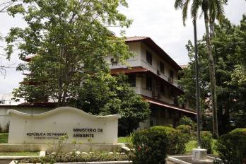 La tenencia de animales silvestres está prohibida en Panamá según la Ley 24 de 7 de junio de 1995, conocida como Ley de Vida Silvestre.