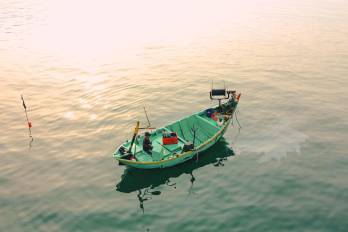 Mientras el 86% de la flota de palangre en Panamá opera sin monitoreo satelital, la riqueza biológica de la Cordillera de Coiba queda a merced de la pesca ilegal.