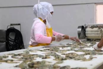 Los datos utilizados en el informe provienen del Instituto Nacional de Estadística y Censo de Panamá.