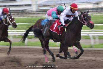 La colorada ‘Como Tu’ (der.) será la carta brava a batir en el Premio Asociación de Jinetes Aprendices y Profesionales.