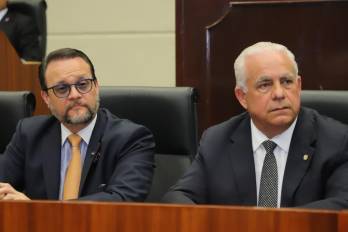 Moltó y Linares le dijeron a los diputados que la idea del acuerdo es proteger a los productores nacionales.