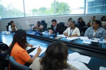 Mesa técnica de la Comisión de la Mujer, Niñez, Juventud y la Familia.