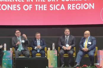 Autoridades del SICA y la FAO durante el Foro de Inversión de la Iniciativa Mano de la Mano 2026.
