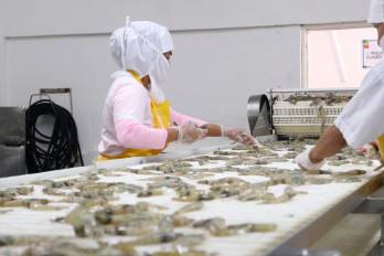 El valor exportado de los bienes con valor agregado procesadas en zonas francas se situó en $988.1 millones, un aumento del 1.7 % frente al mismo periodo de 2024.