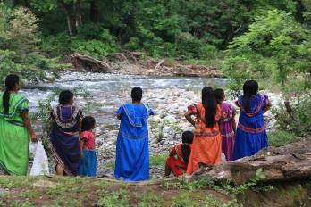 Hasta la fecha, se registra una defunción, trece casos confirmados por laboratorio y un caso adicional por nexo epidemiológico