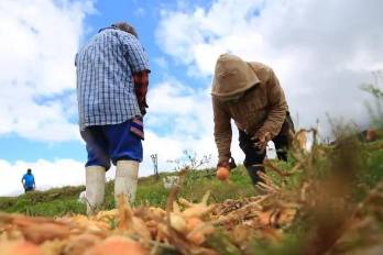 El Ejecutivo plantea crear un “ITSE agropecuario” para dotar al país de personal capacitado y mejorar la competitividad del campo.
