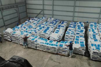 La Zona Franca Pesquera del Pacífico, ubicada en Tanara, distrito de Chepo, procesa aproximadamente 300 mil libras semanales de pescado congelado.
