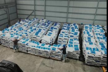 La Zona Franca Pesquera del Pacífico, ubicada en Tanara, distrito de Chepo, procesa aproximadamente 300 mil libras semanales de pescado congelado.