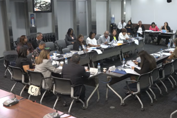 La Comisión de la Mujer busca unificar criterios jurídicos y eliminar ambigüedades en la Ley 82 mediante un texto único consolidado.