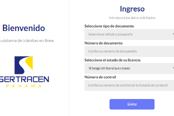 Las autoridades también han aclarado que la licencia digital no reemplaza la física.
