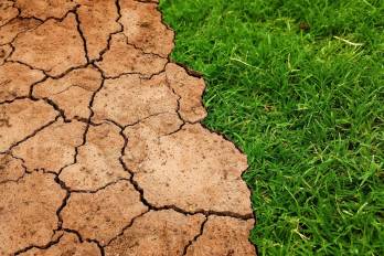 El cambio climático, además de los seres vivos, también impacta la productividad agrícola, los ingresos y el desarrollo de los países.