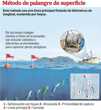 Descontrol pesquero: solo 14% de la flota palangrera tiene monitoreo satelital