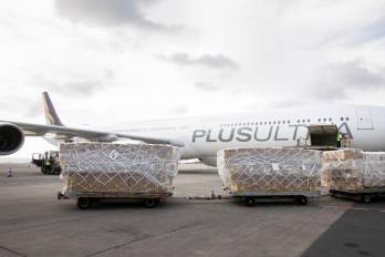 El Juzgado de Instrucción número 15 de Madrid, que dirige esta operación, investigó anteriormente el rescate de 53 millones de euros de la aerolínea.