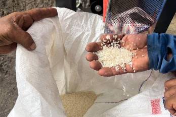 Productores cuestionan la importación.