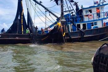 Aunque la ARAP no contempla este escenario, Carrasquilla advirtió que una Tarjeta Roja afectaría a más de 150 naves con pabellón nacional dedicadas a la pesca o actividades relacionadas, de las cuales más del 70 % utiliza puertos europeos.