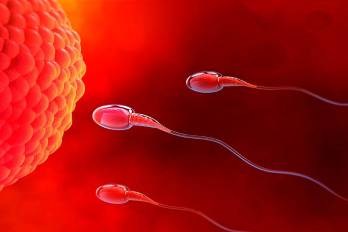 Quienes participaron en el estudio del NIH mostraron un deceso en la cantidad de esperma producido en 15 semanas, otros desde la cuarta u octava semana.