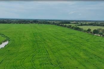Proyectan que en el Arco Seco se podría registrar una reducción de lluvias que afectará la disponibilidad de agua para riego, el estado de los pastos y la productividad ganadera, especialmente en sistemas extensivos.