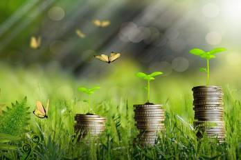Los bonos sostenibles son cualquier tipo de bono, cuyos fondos se destinan exclusivamente a financiar o refinanciar, en parte o en su totalidad, proyectos verdes elegibles, ya sean nuevos o existentes.